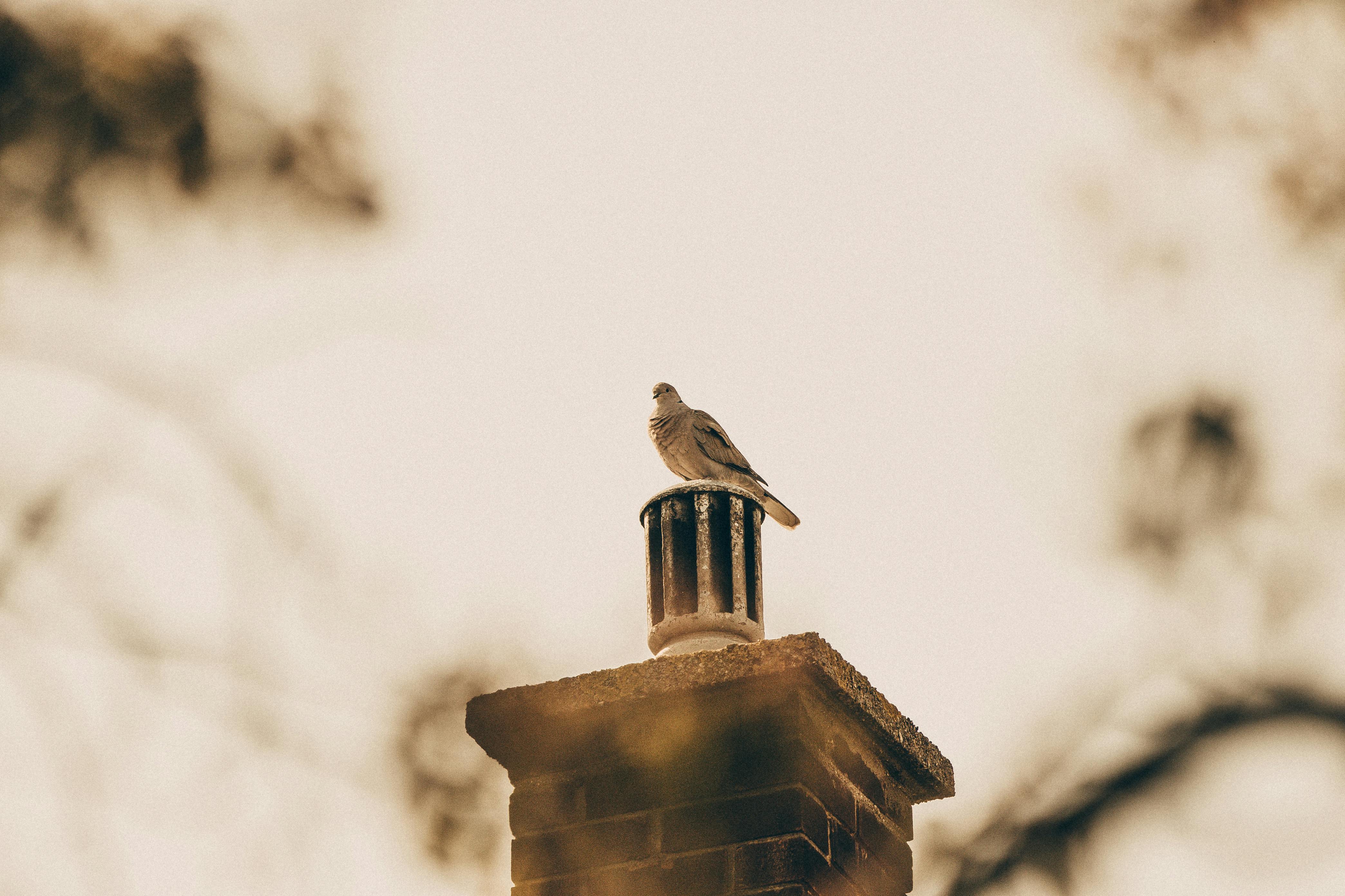 Expert Chimney Cap Installation in Evergreen Park, Illinois